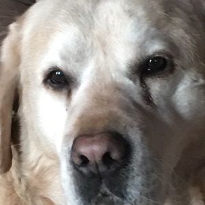 Meet your Posher, Colleen